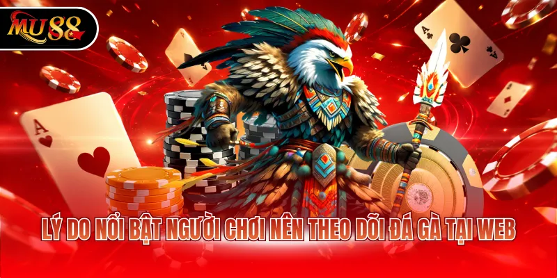 Lý do nổi bật người chơi nên theo dõi đá gà tại web