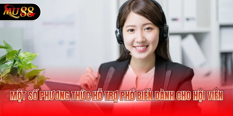 Một số phương thức hỗ trợ phổ biến dành cho hội viên