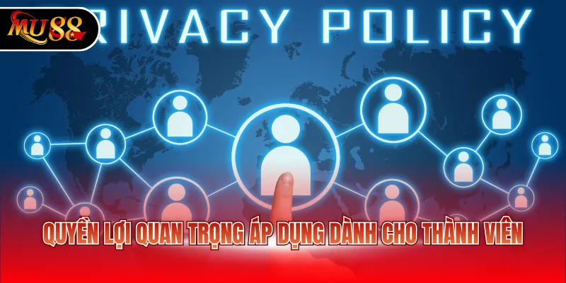 Quyền lợi quan trọng áp dụng dành cho thành viên